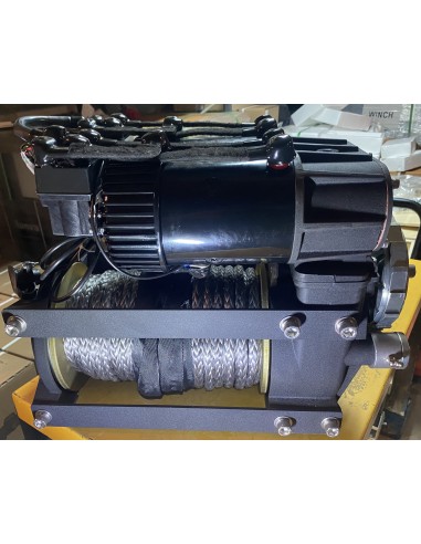 Treuil Electrique Runva Bi moteur RU100