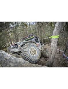 Sangle tour d'arbre TREELINX GP 2