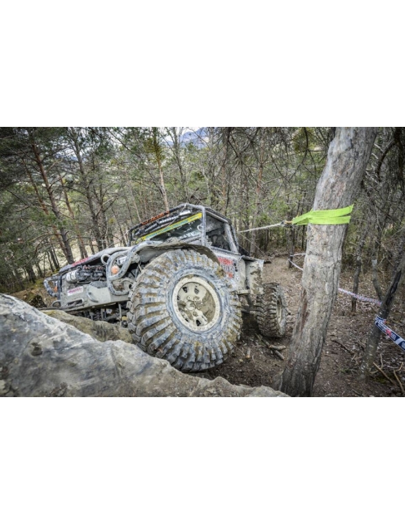 Sangle tour d'arbre TREELINX GP